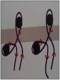 گره فرش