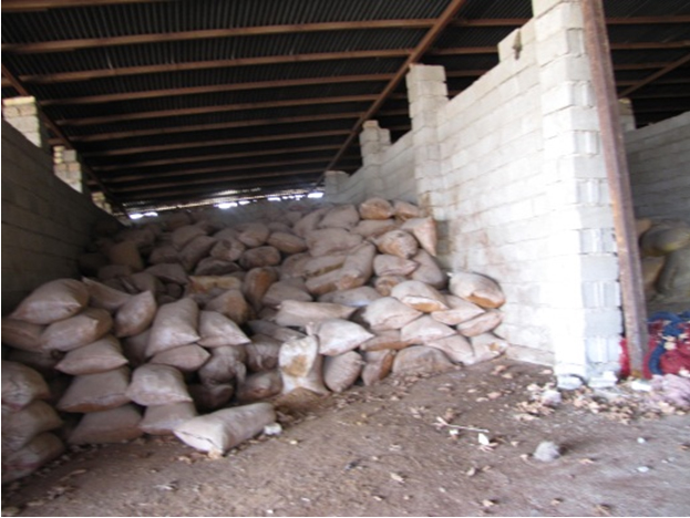 مواد رنگزای طیبعی در کارگاه